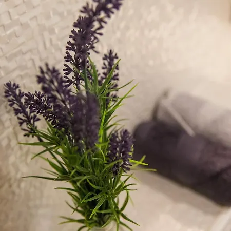 Tony's Place アパート *